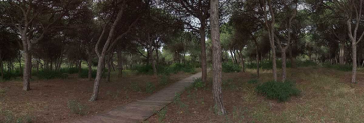 Disfrutar llegando a la localidad de Rota a pié