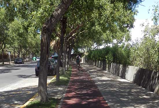 Sombreado carril bici bajao la arboleda en Costa Ballena