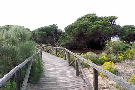 Parque Natural de la Almadraba