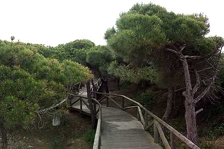 Parque Natural de la Almadraba