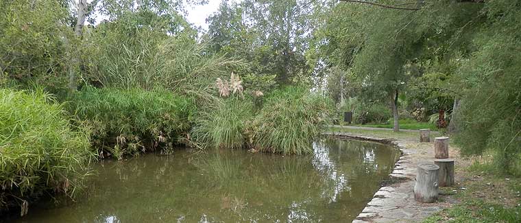 Parque Botánico Celestino Mutis