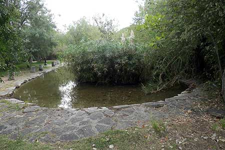 Parque Botánico Celestino Mutis - (c) [7] VilladeRota.com