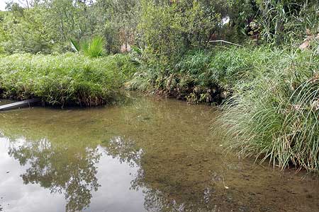 Parque Botánico Celestino Mutis - (c) [8] VilladeRota.com