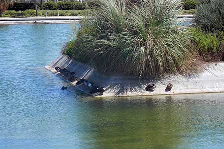 Parque de los Lagos de Costa Ballena