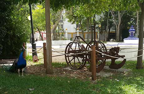 Parque El Mayeto