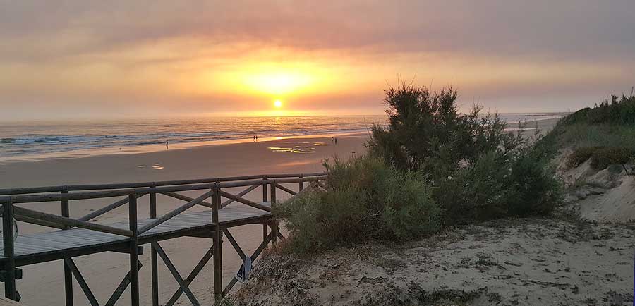 Playa de Costa Ballena, Rota