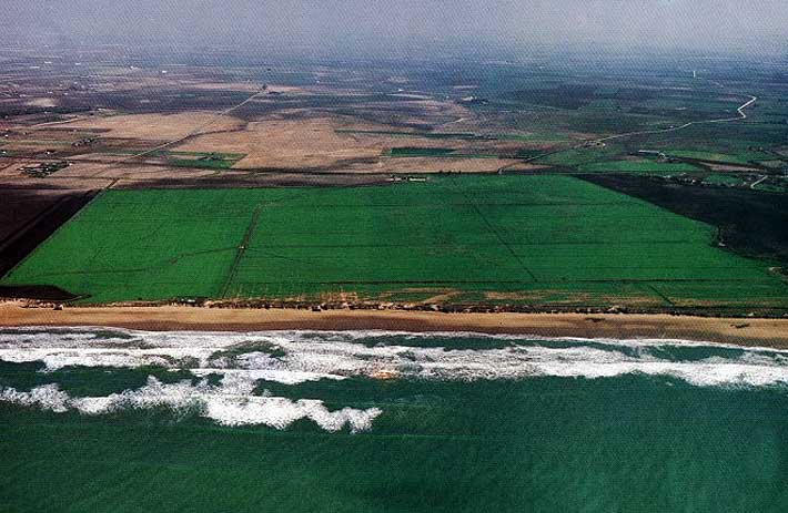 Terrenos de Costa Ballena antes de su construcción