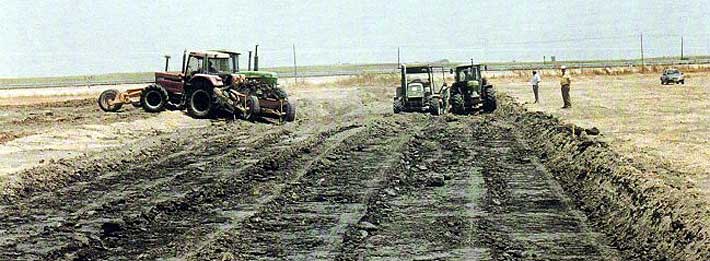 Costa Ballena, preparación de los terrenos y parcelas