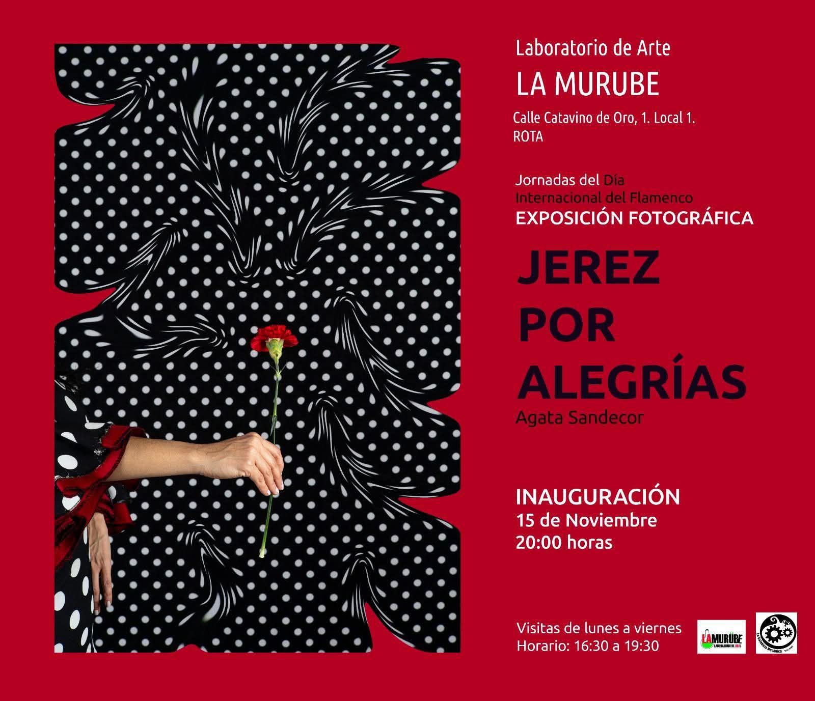 Exposición fotográfica "Jerez por alegrías"