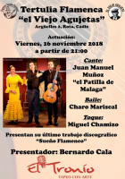 Especial Dia Mundial del Flamenco