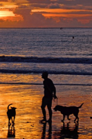 V Monográfica de Bellez y Trabajo del Perro de Agua Español